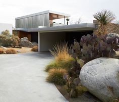 the house is surrounded by cactus and rocks