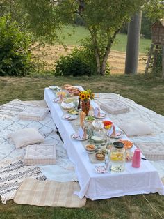 an outdoor picnic with food and drinks laid out on the blanket in the grass near trees