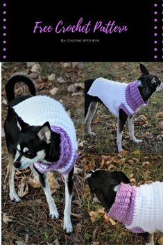 a small black and white dog wearing a sweater in three different photos with text overlay that says free crochet pattern