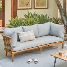 a couch sitting on top of a wooden floor next to a table and potted plant