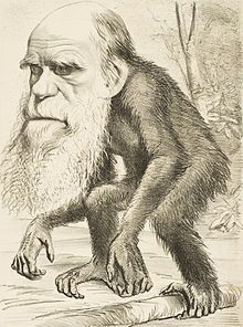 Charles Darwin - Wikipedia, la enciclopedia libre Darwin Theory, Darwin Awards, Origin Of Species, Theory Of Evolution, A Monkey, Mesopotamia