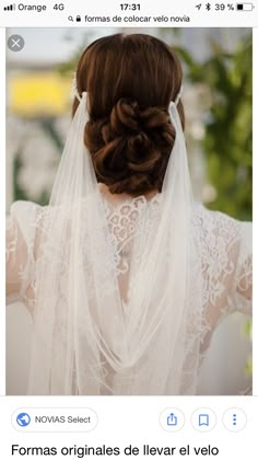 the back of a woman wearing a wedding veil