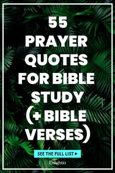 55 Prayer Quotes for Bible Study (+ Bible Verses)