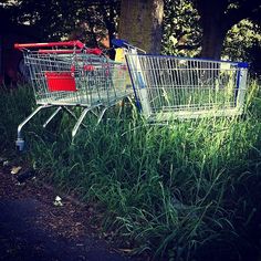 two empty shopping carts sitting in the grass