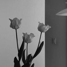 a vase with flowers in it sitting on a table next to a wall mounted light