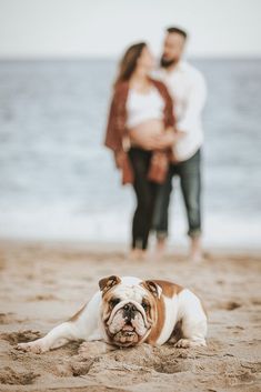 a dog laying in the sand with its head on his owner's shoulder as they look at each other