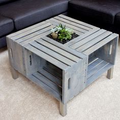 a coffee table made out of pallet wood with a plant in the middle on top