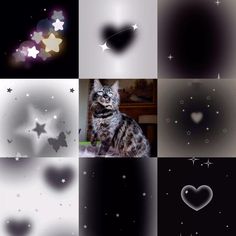 a collage of pictures with cats and stars