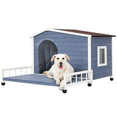 a white dog laying on top of a bed with a blue house in the background