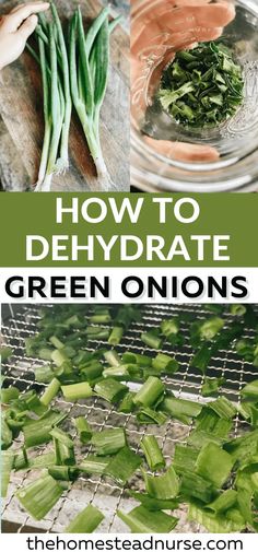 how to dehydrate green onions in the kitchen and on the grill with text overlay