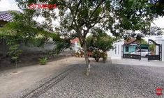 a small tree is in the middle of a gravel yard with a fence and gate