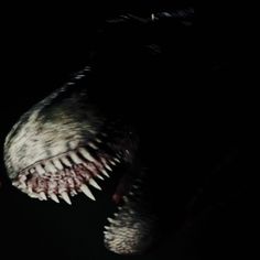 a close up of a dinosaur's mouth with it's teeth open in the dark