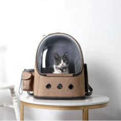 a cat in a space capsule on top of a table