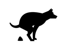 a black silhouette of a cat standing on its hind legs and looking at something in the distance