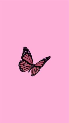 a pink and black butterfly flying in the sky