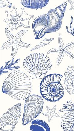 a blue and white drawing of sea shells on a white background with starfish, seashells, and corals