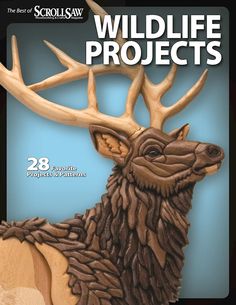 the front cover of scool saw's wildlife projects, featuring an image of a deer with large antlers