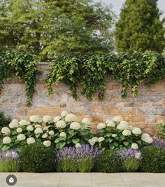 a stone wall with white flowers and greenery