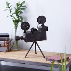 a couple of metal objects sitting on top of a wooden table next to a potted plant