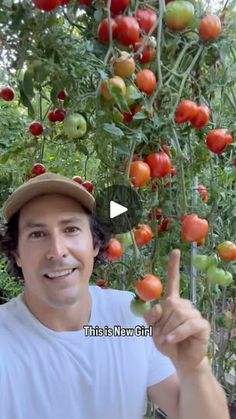 a man in a hat pointing at tomatoes growing on the vine with his thumb up