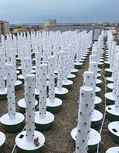 rows of white plastic barrels are lined up on the ground with wires attached to them