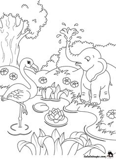 an elephant and flamingo in the jungle coloring page for children stock photo - image