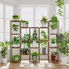 a room filled with lots of different types of potted plants in front of large windows