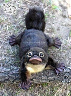 a small black and yellow animal laying on top of a wooden log in the grass