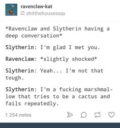 the tweet from ravenclaw and sytherin having a deep conversation