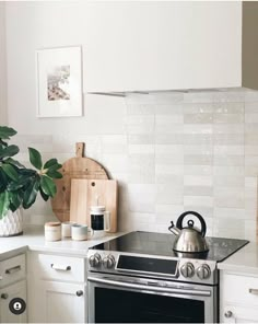 a stove top oven sitting inside of a kitchen next to a potted green plant