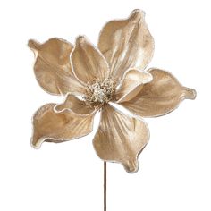 a gold flower on a white background with no leaves or flowers in the center,