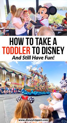 how to take a toddler to disney and still have fun