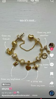 Gold Charm Bracelet Pandora, Mixed Metal Pandora Bracelet, Pandora Bracelet Outfit, Pandora Charm Bracelet Ideas