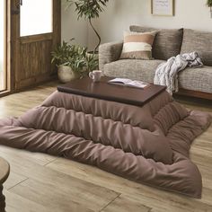 a living room with a couch, coffee table and potted plant on the floor