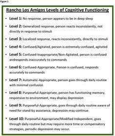 ranchos los amigos scale | Rancho Los Amigos Levels of Cognitive Functioning Scale Nbcot Exam Prep, Nbcot Exam, Therapeutic Recreation, Occupational Therapy Assistant, Recreation Therapy, Occupational Therapy Activities, Cognitive Therapy, Pediatric Occupational Therapy