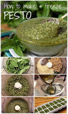 how to make pesto and freeze it