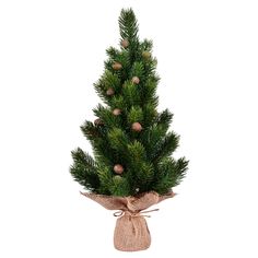 a small christmas tree with pine cones and burlock tied around the base, on a white background