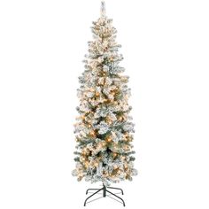 Pre-Lit Snow Flocked Artificial Pencil Christmas Tree Flocked Pencil Christmas Tree, Incandescent Christmas Lights, Slim Artificial Christmas Trees, 6ft Christmas Tree, Pretty Christmas Trees, Pencil Trees, Artificial Snow, Snow Flock, Flocked Trees