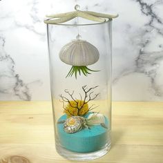 a glass vase with shells and seaweed in it