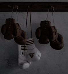 three boxing gloves hanging from hooks on a wall next to two pairs of boxing gloves