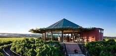 a gazebo in the middle of a vineyard with stairs leading up to it's entrance