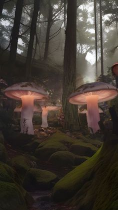 two mushrooms in the middle of a forest