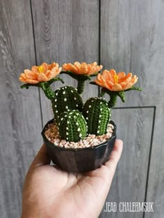 a hand holding a small potted plant with orange flowers on it's top