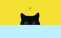 a black cat peeking out from behind a blue and yellow background