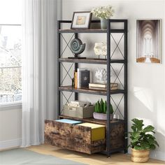 a room with a book shelf, potted plant and pictures on the wall