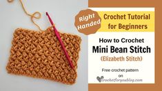 the crochet pattern for beginners how to crochet mini bean stitch