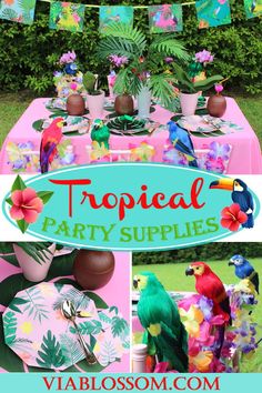 a tropical party with pink and green decorations