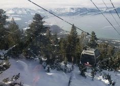 a ski lift going up the side of a snow covered mountain with trees on both sides