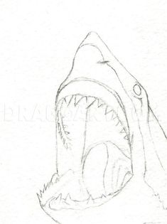 a drawing of a shark with its mouth open