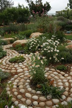 a garden filled with lots of rocks and flowers on top of it's sides